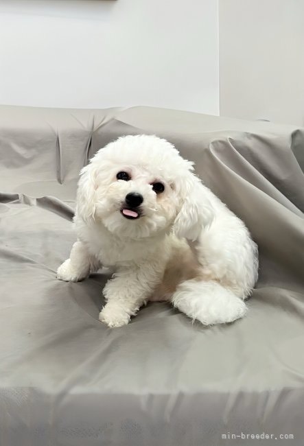 ぽてちちゃん